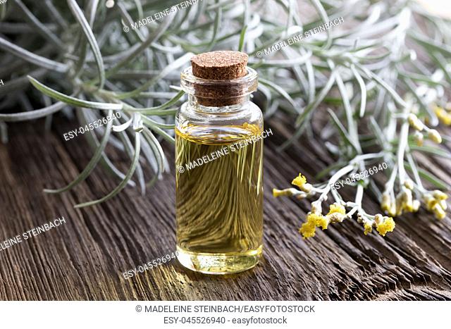 A bottle of helichrysum essential oil with blooming helichrysum italicum on a wooden background