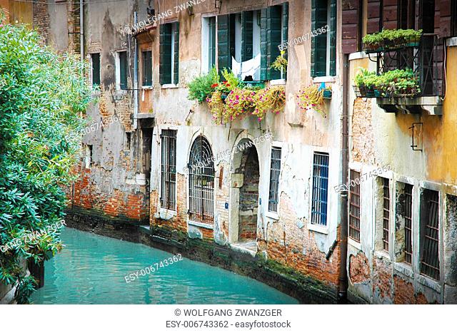 Narrow street in Venice with dilapidated houses front grilles, shutters, flowers and shrubs