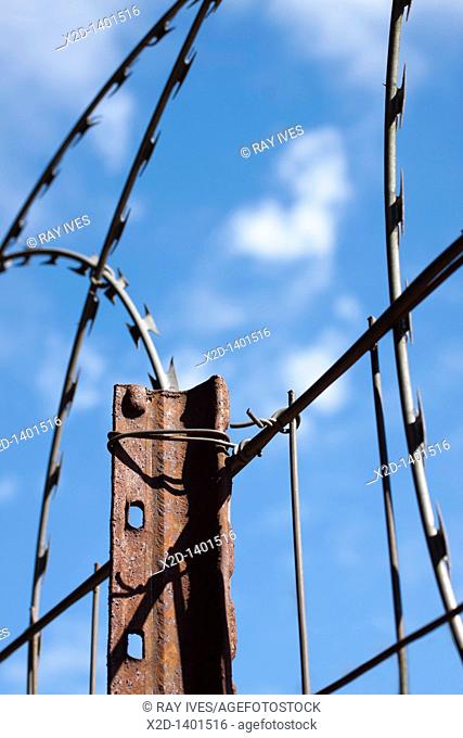 Coiled razor wire mounted on a boundary fence for security