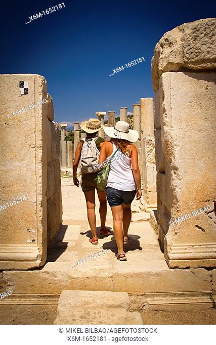 Patara ruins  Antalya province  Mediterranean coast  Turkey