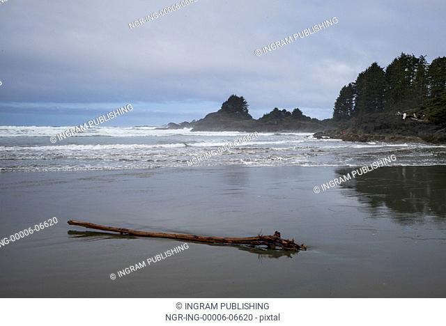 Driftwood on the beach, Pacific Rim National Park Reserve, British Columbia, Canada