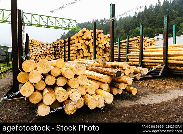 PRODUCTION - 07 June 2021, Baden-Wuerttemberg, Hausach: Debarked tree trunks lie in the log yard on the premises of a sawmill