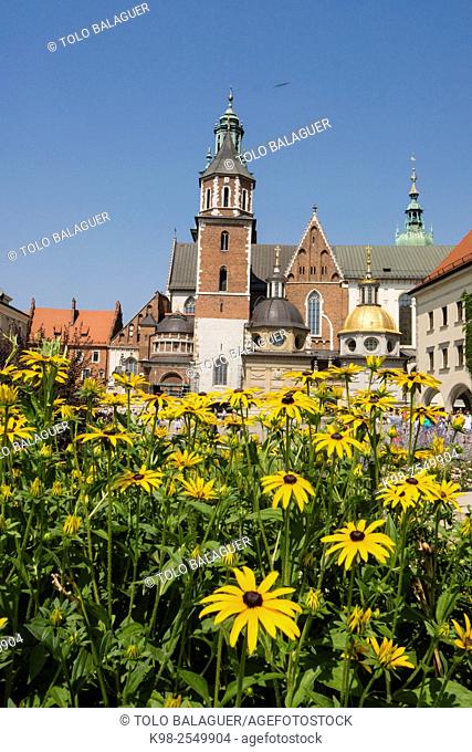 Catedral de Wawel, santuario nacional polaco, Kraków, Poland, Eastern Europe
