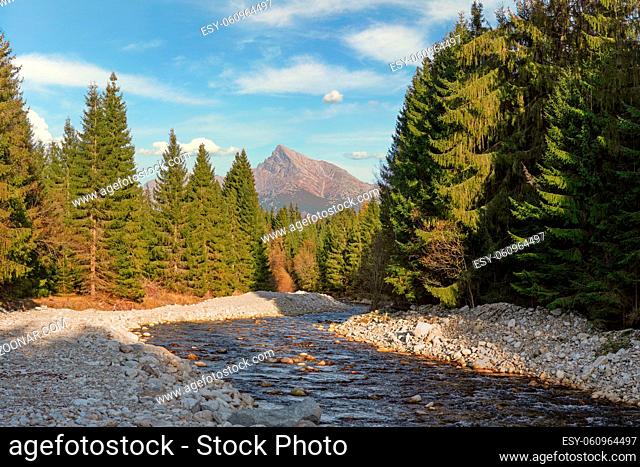 Forest river Bela with small round stones and coniferous trees on both sides, sunny day, Krivan peak - Slovak symbol - in distance