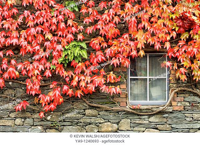 Autumn arrive in the English Lake District