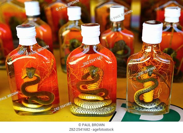 Bottles of snake whiskey in Donsao Island village in Laos at the Golden Triangle where Thailand, Myanmar and Laos borders meet at the Mekong River, Laos