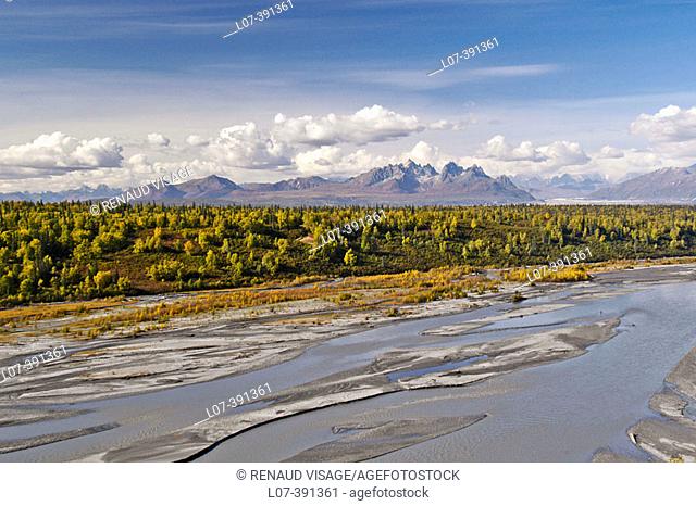 View of forest and mountains of Denali State Park. Alaska. USA