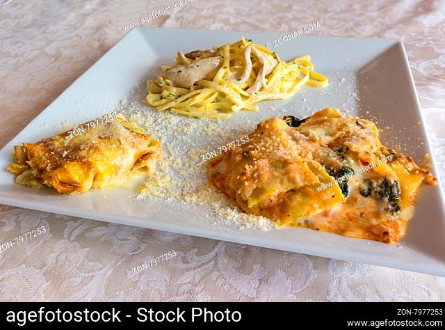 Pictured three typical Italian dishes, lasagne, crepes with aspagi and noodles with cream and mushrooms, served in a white dish