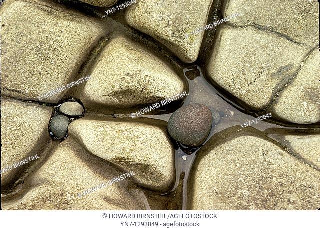 Strong geometric pattern in seaside rocks
