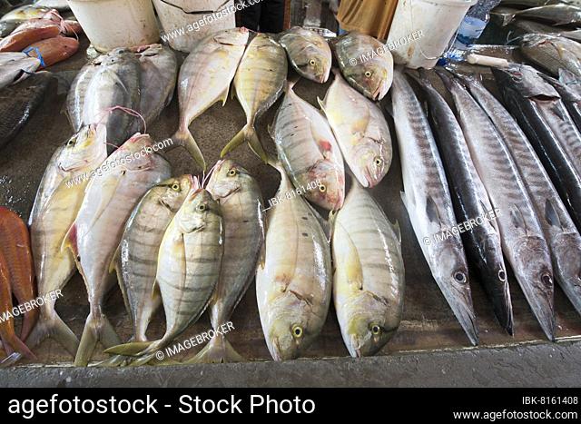 Fish Market at Sir Selwyn Selwyn-Clarke Merket, Victoria, Seychelles, Africa