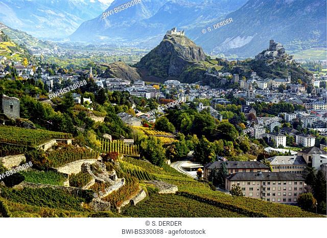 view to Sion with vineyards and castles, Switzerland, Valais, Sion