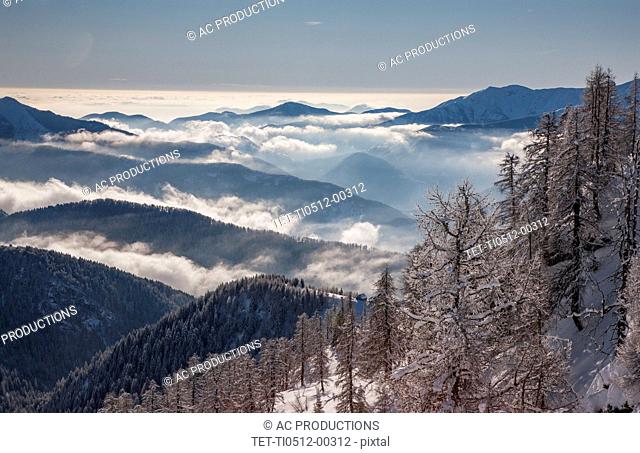 Bare trees by mountains with fog in Piedmont, Italy