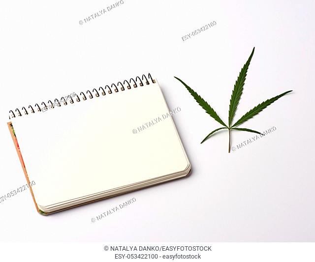 open spiral notebook with blank white sheets and green hemp leaf, white background