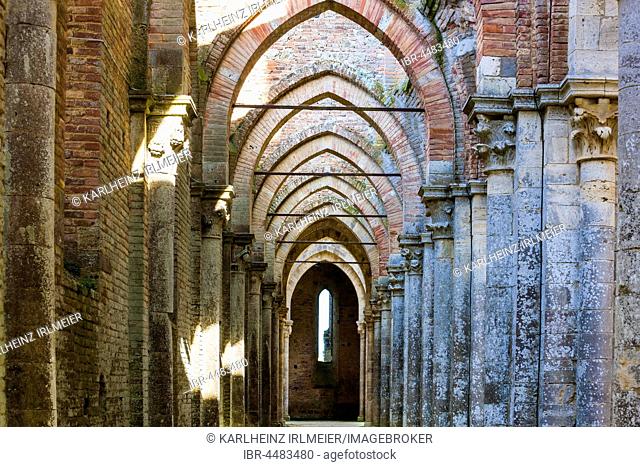 Ruins of San Galgano Abbey, Chiusdino, Tuscany, Italy