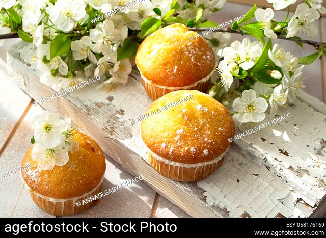 freshly baked homemade muffins, decorated with petals of spring flowers on a shabby wooden table