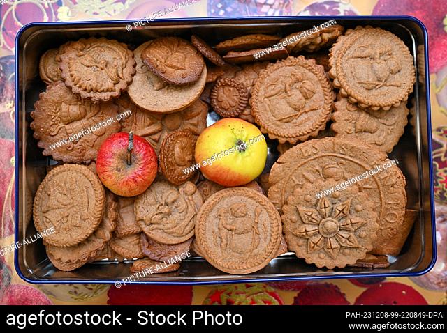 07 December 2023, Brandenburg, Frankfurt (Oder): In the Viadrina Museum, freshly baked gingerbread lies in a tin with apples so that the cookies keep better