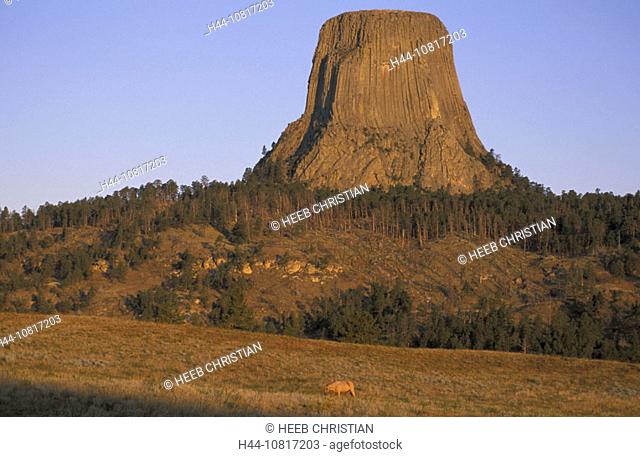 scenery, rock, cliff, striking, prominently, landmarks, Devils Tower, national park, monument, Wyoming, USA, United St