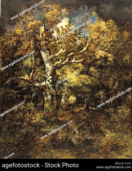 Diaz De La Pena Narcisse Virgile - Forest of Fontainbleau Autumn - French School - 19th Century