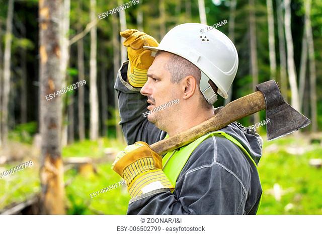 Lumberjack in the forest with an ax