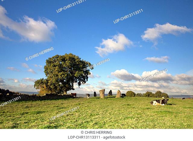 England, Derbyshire, Froggatt. Nine Stones Close Stone Circle also known as the Grey Ladies in the Peak District National Park
