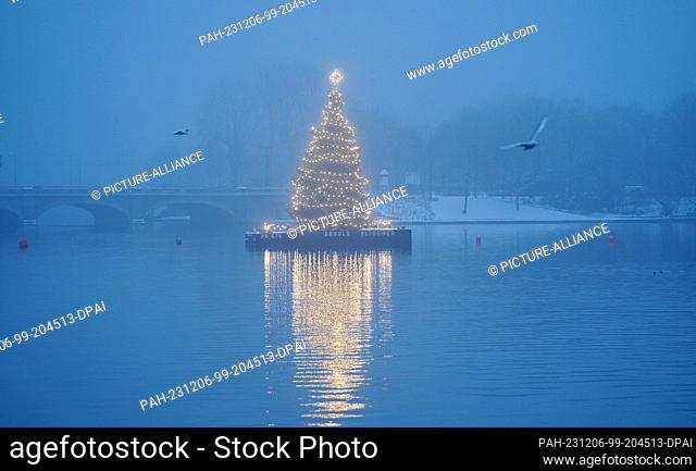 06 December 2023, Hamburg: The Christmas tree on the Binnenalster is brightly lit. Photo: Marcus Brandt/dpa. - Hamburg/Hamburg/Germany