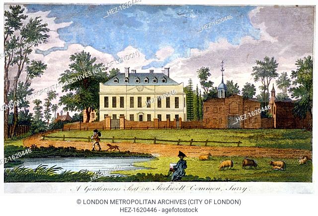 A gentleman's seat on Stockwell Common, Lambeth, London, 1792. View with sheep grazing on the right