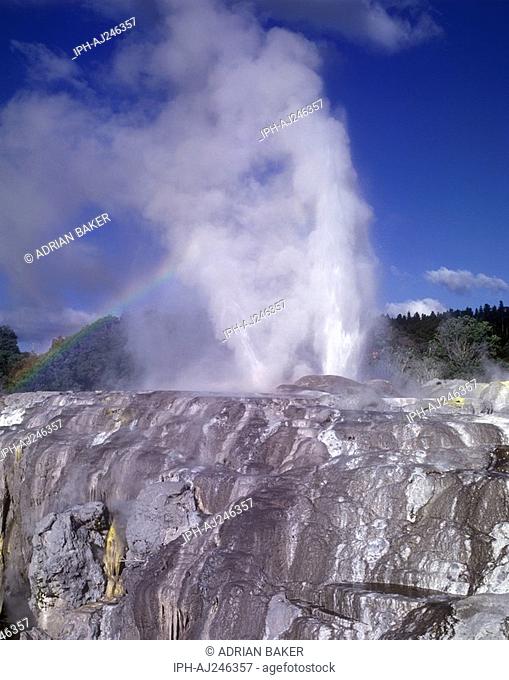 Pohutu geyser in Whatarewarewa Thermal Reserve at the North Island city of Rotorua