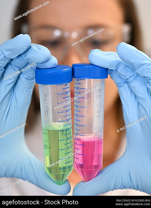 PRODUCTION - 23 May 2023, Hesse, Darmstadt: Biology lab technician Julia Volk shows a green dye used to stain RNA and a pink dye used to stain lipid...