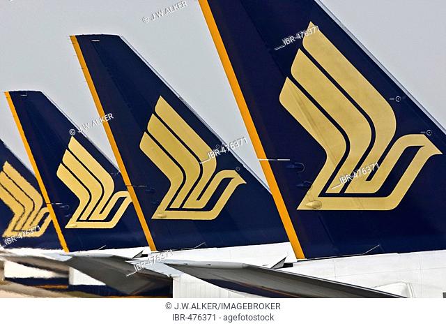 Rear fins of Singapore Airlines airplanes parking on the airport of Changi, Singapore, Indonesia