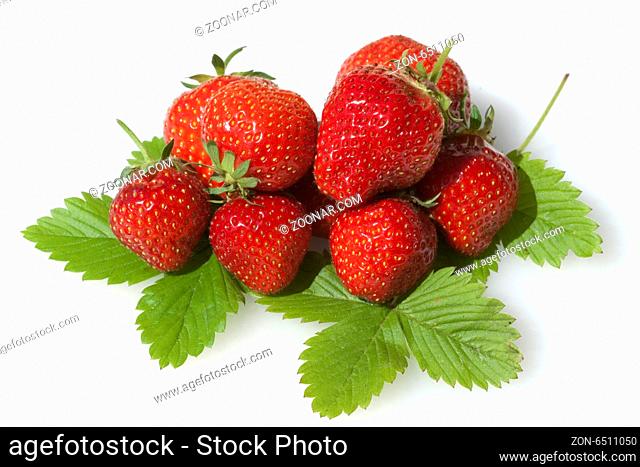 Erdbeere, Fragaria x ananassa, Beerenobst