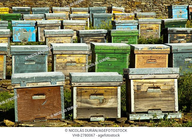 Bee hives. San Vicente de Alcántara, Badajoz province, Extremadura, Spain