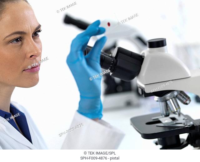 Female scientist holding a microscope slide with a blood sample