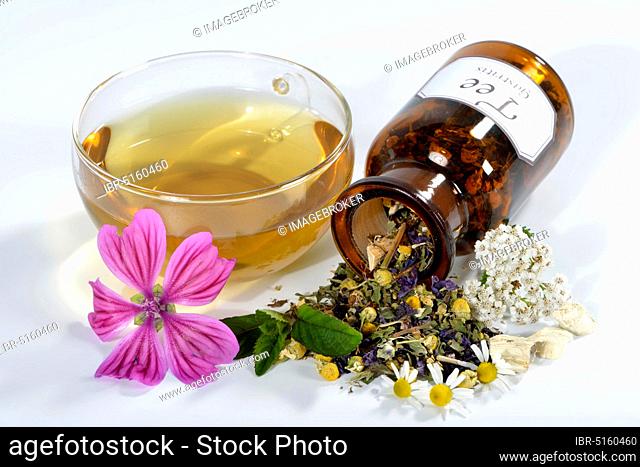 Gastritistee, mallow blossoms, chamomile. Camomile flowers, yarrow, peppermint leaves, peppermint (Mentha piperita), marshmallow (Althaea officinalis)