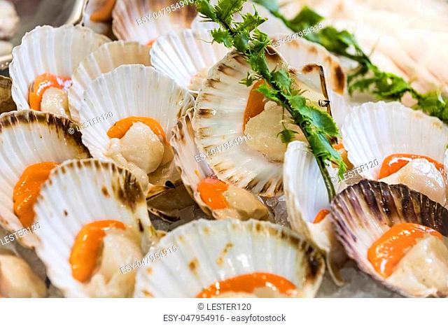Background of fish, shrimp clams in the markets of Milan in Italy