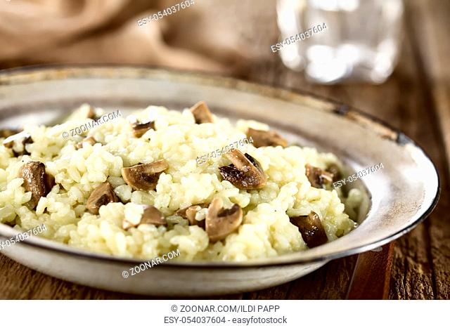 Fresh homemade mushroom risotto on rustic plate (Selective Focus, Focus in the middle of the image)
