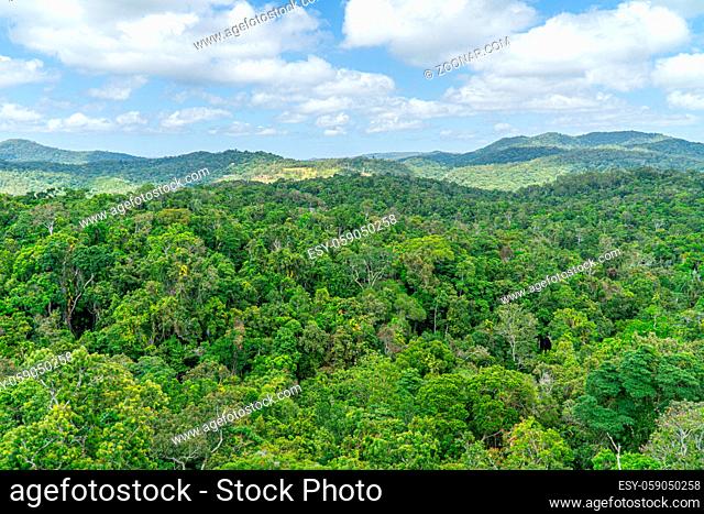 The Australian rainforest in the north of Australia near Cairns with green mountains and blue skies are white clouds