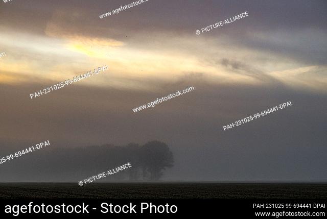 25 October 2023, Brandenburg, Perleberg: In dense fog, the sun rises over a field with a group of trees in the early morning. Photo: Jens Kalaene/dpa