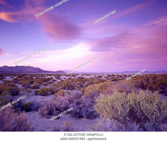 The Black Rock Desert and Calico Hills, Black Rock Desert National Conservation Area, Nevada