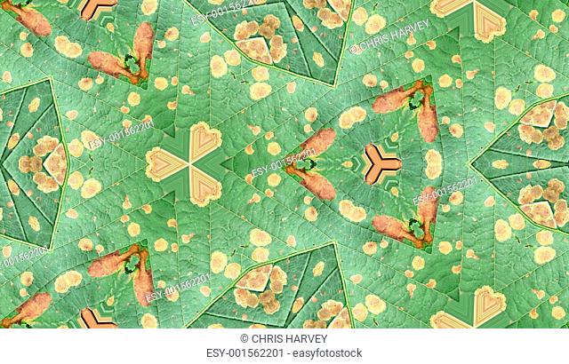 Odd Leaf Pattern Texture
