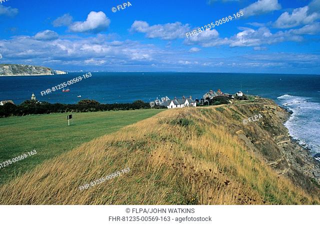 England - Swanage Bay showing both headlands - Swanage, Dorset - Summer