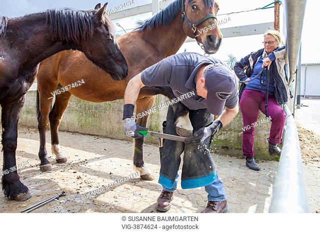 GERMANY, LEVERKUSEN, Farrier cuts horse hoof with a rasp - LEVERKUSEN, NORTH RHINE-WESTPHALIA, GERMANY, 19/04/2013