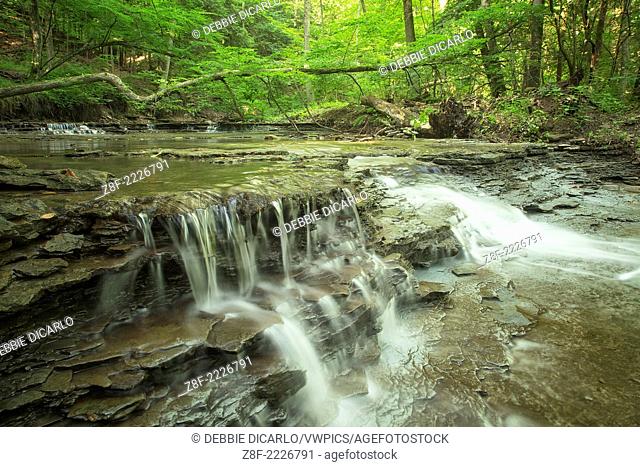 A shallow creek with water cascading and falling over shale rock, Columbia Run Creek, Cuyahoga Valley National Park, Peninsula, Ohio, USA