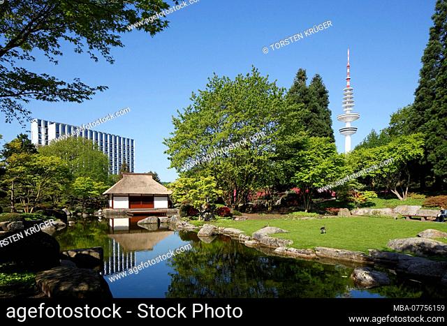 Japanese garden, teahouse and pond with television tower, Hamburg, Germany, Europe