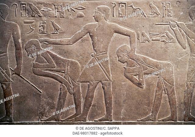 Superintendents of property and scribes, relief of the Mastaba of Mereruka, 2340 BC, Necropolis of Saqqara, Memphis (UNESCO World Heritage List, 1979), Egypt