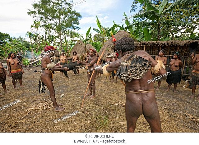 Dani Tribe ceremonially slaughtering a pig with bow and arrow for the rare pigs feast, the pinnacle of the social and religious life, Indonesia