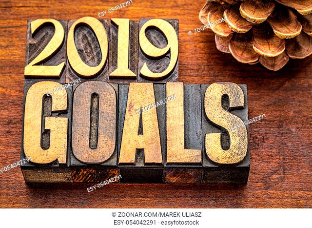 2019 goals banner - New Year resolution concept - text in vintage letterpress wood type printing blocks against grained wood with a pine cone