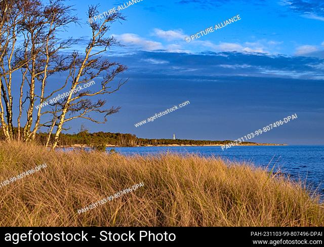 22 October 2023, Denmark, Dueodde: In the warm light of the evening sun, the coast on the southern side of the Danish Baltic Sea island of Bornholm glows