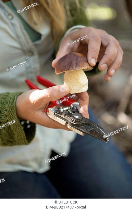 Close up of woman examining mushroom