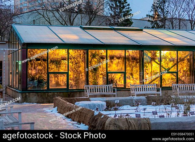 Moscow, Russia - December 22, 2020: A glass greenhouse with tropical and exotic plants in the Pharmaceutical Garden