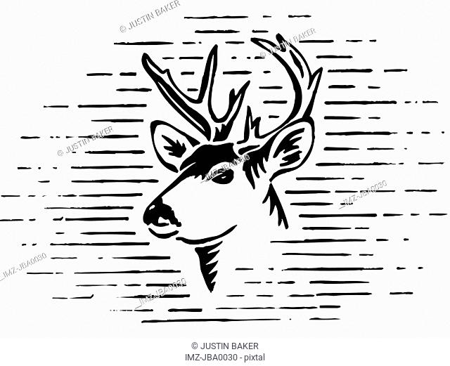 A black and white illustration of a reindeer